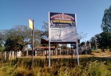Parque de leilões e vaquejadas景点图片