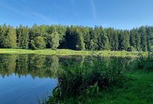 Reichenbachweiher景点图片