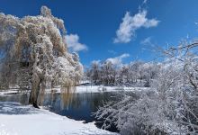 Hampton Manor Park & Beachouse景点图片