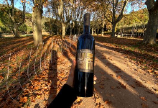Domaine De La Portanière景点图片