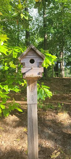 Grace Street Park-格林伍德