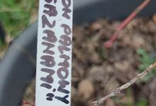 Punkt Ogrodniczy购物图片