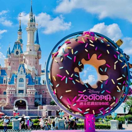 上海3日2晚拼小团