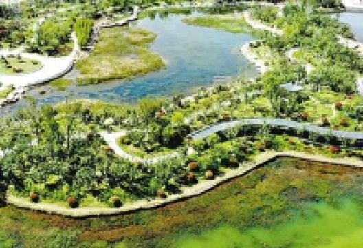 商丘市日月湖景区-樱花岛景点图片