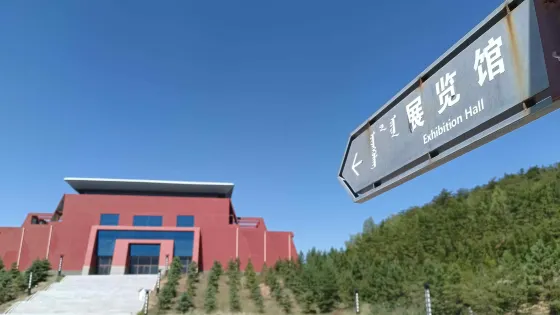 油松王景區-展覽館