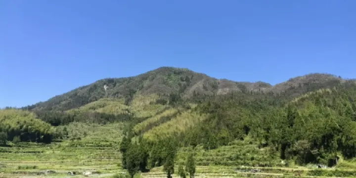 九峯村