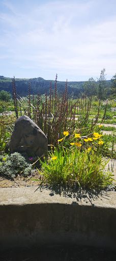 The Edge Labyrinth-阿玛索雷区自治市
