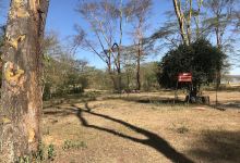 Lake Elementaita Wildlife Sancturary景点图片