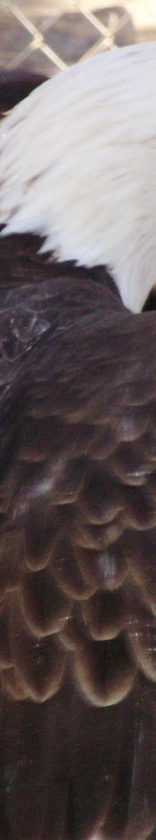 大熊湖动物园-大熊湖