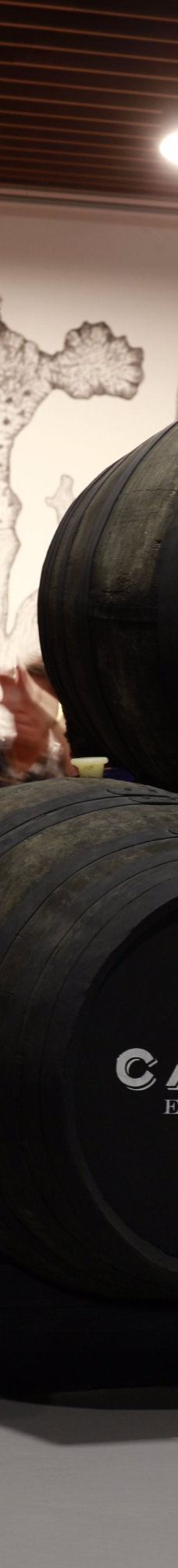 卡莲酒庄-加亚新城