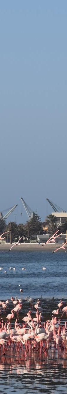 长滩休闲公园-Langstrand