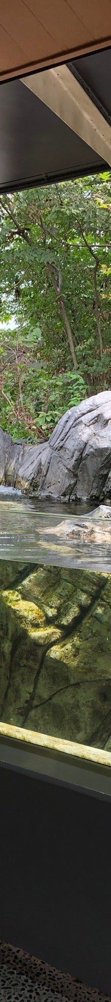 仙台海洋森林水族馆-仙台