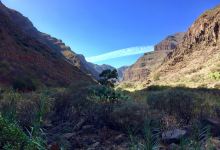 Barranco de Guayadeque景点图片