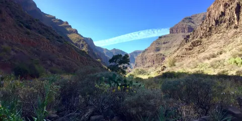 Barranco de Guayadeque