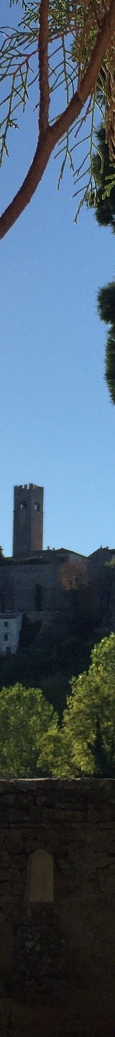 Motovun cemetery-莫托文