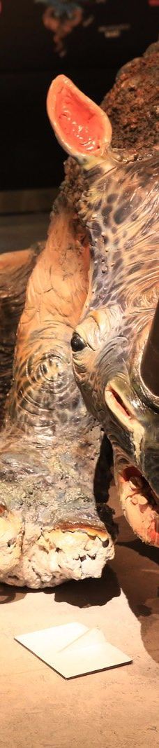 特罗姆瑟大学博物馆-特罗姆瑟