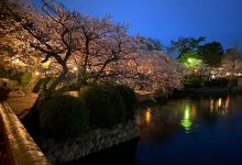 桑名城址(九华公园)景点图片