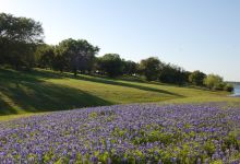 McCown Valley Park景点图片