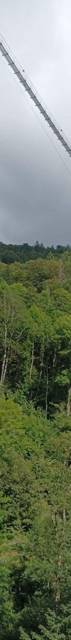 Todtnau Waterfall-托特瑙