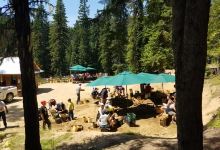 Emerald Creek Garnet Area景点图片