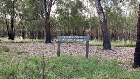 Gemmill Swamp Wildlife Reserve