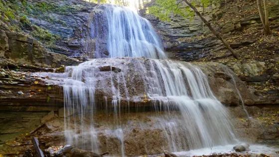 Dundas Valley Conservation Area