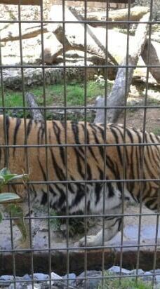 Parque Zoologico Municipal Quinzinho De Barros-索罗加巴