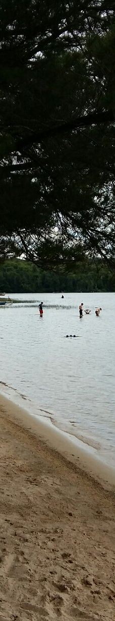 Mikisew Provincial Park-Machar