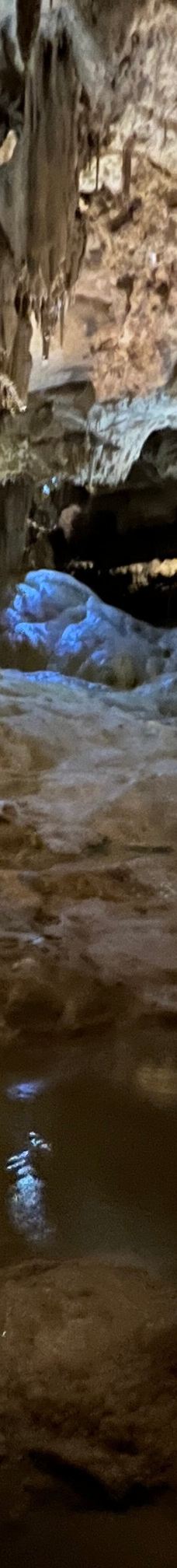 Grottes de Betharram-圣佩德比戈尔