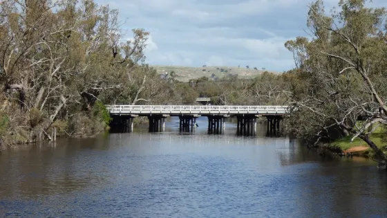 Avon River Suspension Bridge