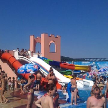 阿兰杰洛瓦茨图片