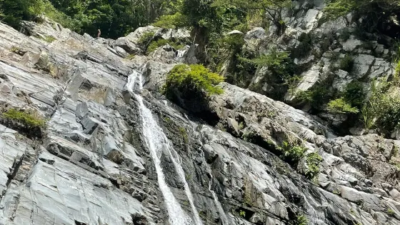Valencia Brook's Waterfalls