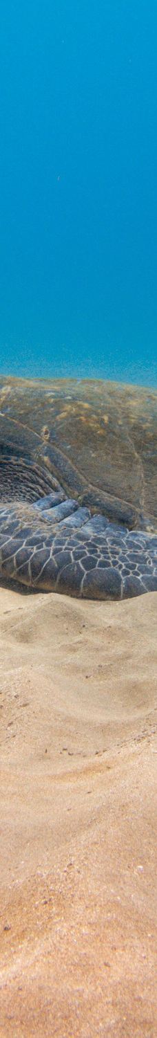 Makena Landing Park-茂宜县
