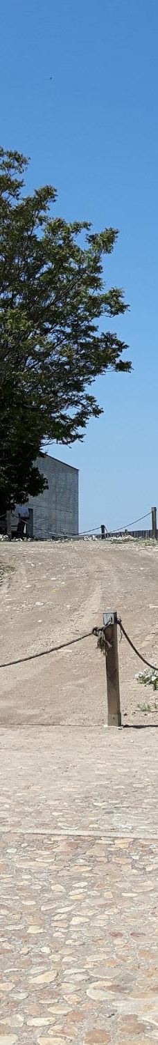 Cerro San Vicente-萨拉曼卡