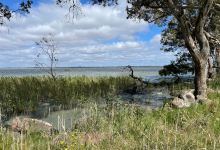 Lake Burrumbeet景点图片