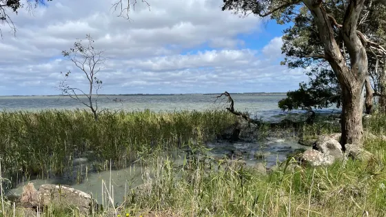 Lake Burrumbeet