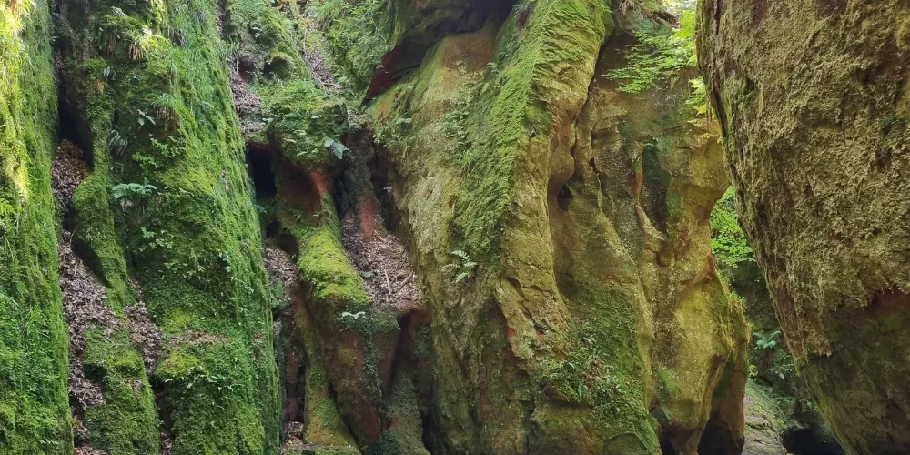 永安旅遊