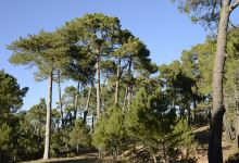 Centro de Educacion Ambiental La Dehesa景点图片