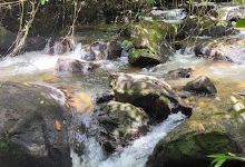 Cachoeira Paraíso do Sul景点图片