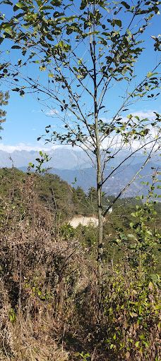 Chisapani Mountain-辛杜帕尔乔克县