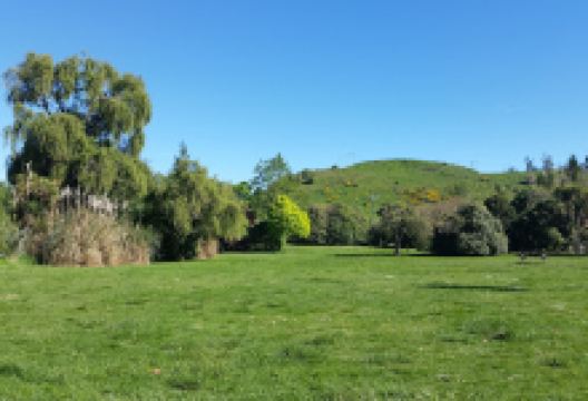 Fenwick Dog Park景点图片