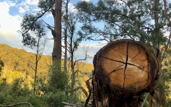 Morwell National Park