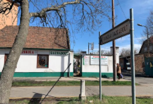 Gardening shop - plant nursery购物图片