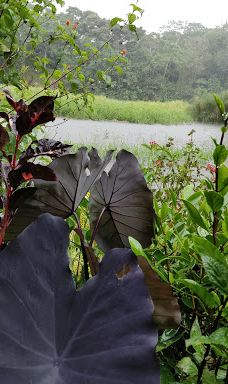 Finca Cantaros-圣维托