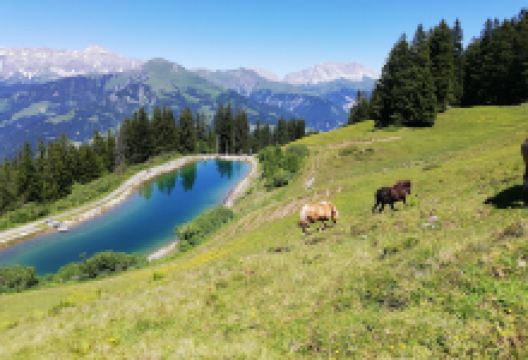 Bergsee Älpli (Speichersee)景点图片