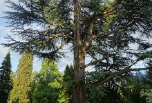 Parco della rimembranza di Valsorda景点图片