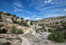 Placitas Trailhead景点图片