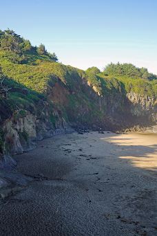 Fogarty Creek Beach-林肯县
