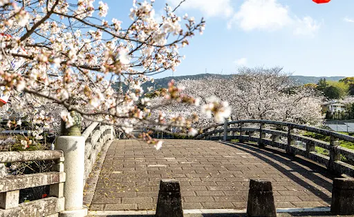 橘公園