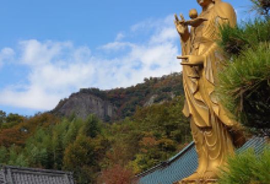 全福寺景点图片